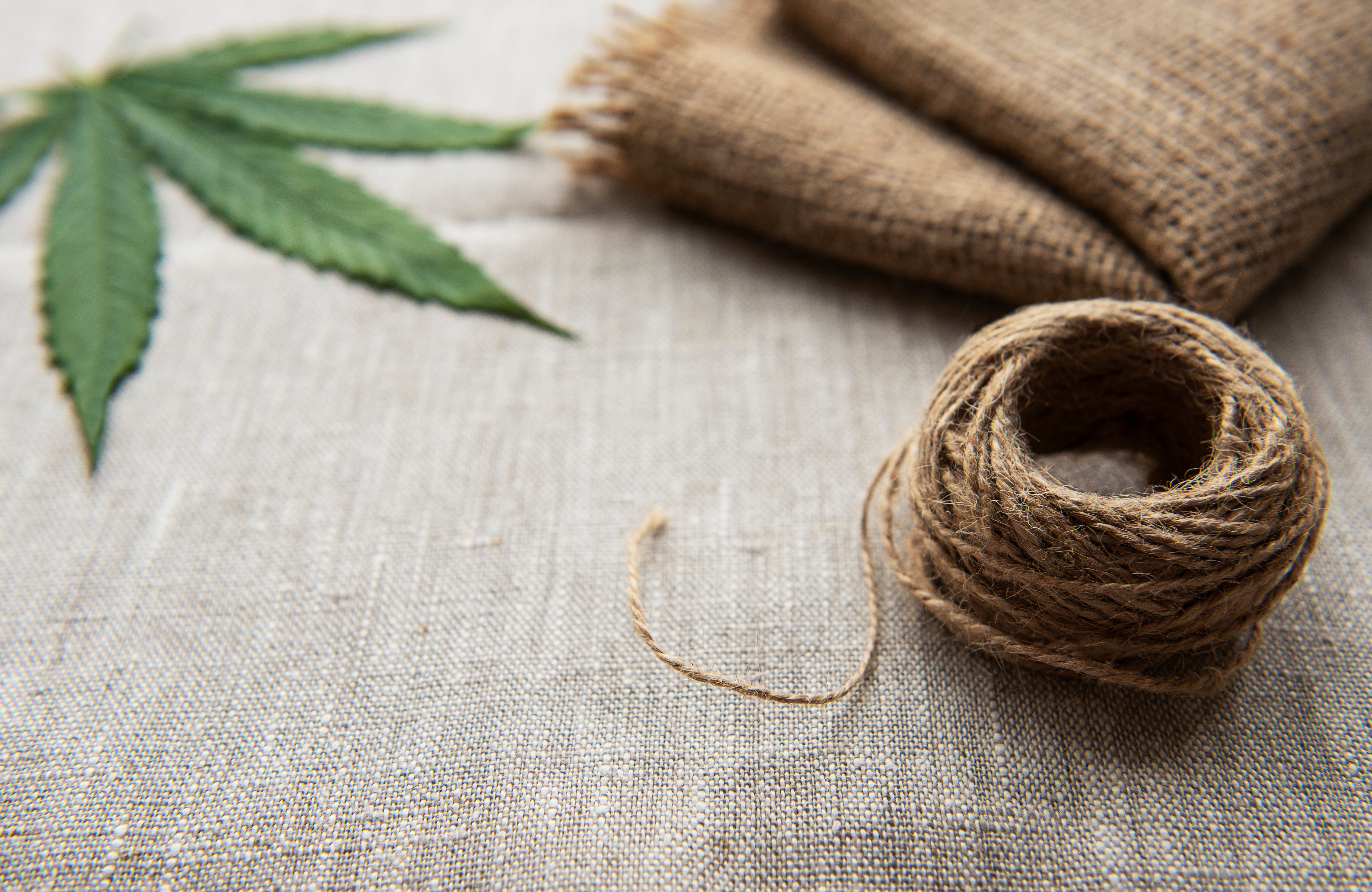 Georgia Hemp Laws 2025: What’s New and What It Means for You